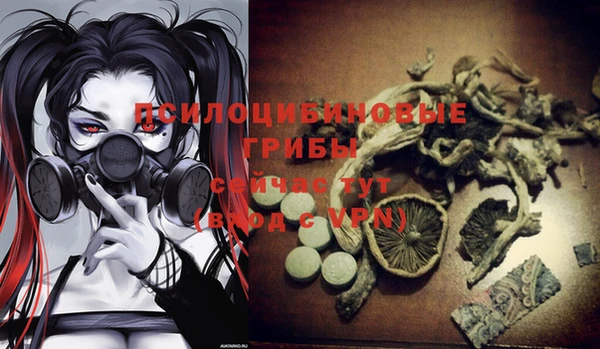дживик Армянск
