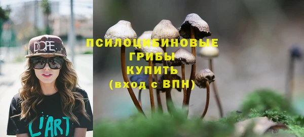 дживик Армянск