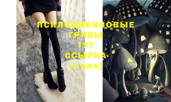 гашиш Аркадак