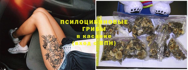 меф Арсеньев