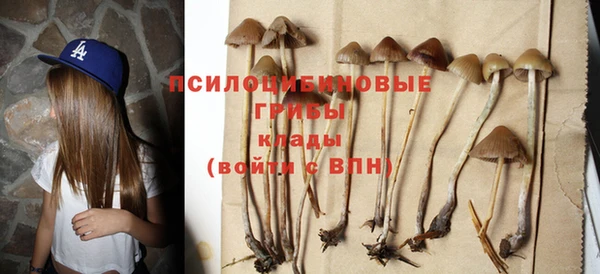 меф Арсеньев