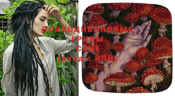 меф Арсеньев